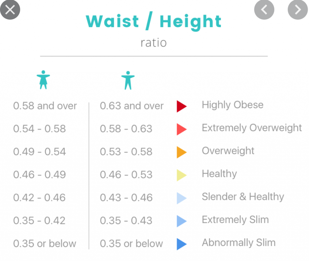 waist to height rario narrowest point measure